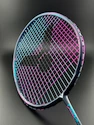 Badminton besnaring Victor  VS-69 Pink/Blue