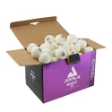 Ballen Joola  Magic ABS 40+ White (72 Pack)