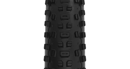 Buitenband WTB  Ranger 2.4x29" TCS Light/Fast Rolling SG2