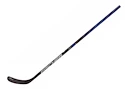 Composiet ijshockeystick Fischer RC EEN IS1 Intermediate