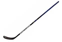 Composiet ijshockeystick Fischer RC EEN IS1 Junior