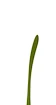 Composiet ijshockeystick WinnWell  Q5 Grip Youth