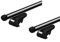 Dakdrager Thule met ProBar Mercury Mountaineer 5-Dr SUV met dakrails 02-10