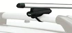 Dakdrager Thule met SlideBar Toyota RAV 4 5-Dr SUV met dakrails 05-12
