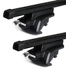 Dakdrager Thule met SquareBar Volkswagen Cross Fox 5-Dr Hatchback met dakrails 10-21