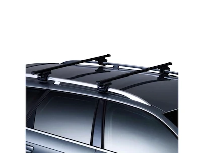Dakdrager Thule met SquareBar Volkswagen Cross Polo 5-Dr Hatchback met dakrails 06-09