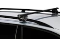 Dakdrager Thule Seat Exeo 5-Dr Estate met dakrails 09-13 Smart Rack