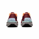Dames hardloopschoenen Craft  PRO Endurance Trail