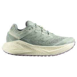 Dames hardloopschoenen Salomon Aero Glide 3 GRVL Sea Foam/Vanilla Ice/Nirvana