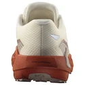 Dames hardloopschoenen Salomon DRX Defy Grvl Vanilla Ice/Burnt Ochre/Etherea