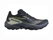 Dames hardloopschoenen Salomon GENESIS W Carbon/Grisaille/Aloe Wash