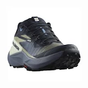 Dames hardloopschoenen Salomon Genesis W Carbon/Grisaille/Aloe Wash