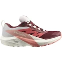 Dames hardloopschoenen Salomon  GTX W Syrah/Vanila/Pea  UK 5
