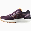 Dames hardloopschoenen Salomon  Sonic 5 Balance Grape Wine/Black