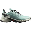 Dames hardloopschoenen Salomon  Supercross Supercross 4 W Aqua/Lunar Rock