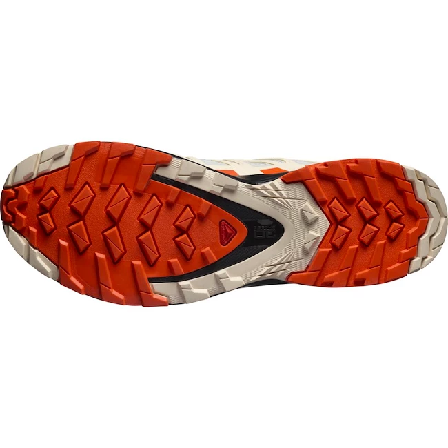 Dames hardloopschoenen Salomon XA Pro 3D XA PRO 3D v8 GTX W Lunar Rock