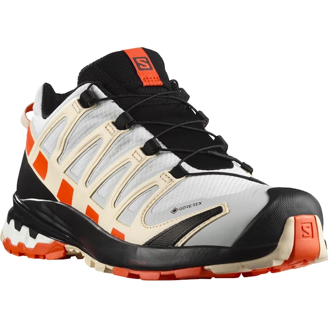 Dames hardloopschoenen Salomon XA Pro 3D XA PRO 3D v8 GTX W Lunar Rock