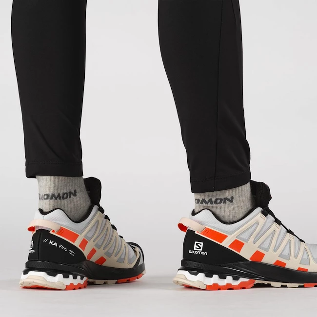 Dames hardloopschoenen Salomon XA Pro 3D XA PRO 3D v8 GTX W Lunar Rock
