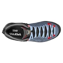 Dames outdoorschoenen Salewa  MTN TRAINER 2 GTX