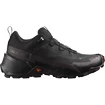 Dames outdoorschoenen Salomon  CROSS HIKE GTX 2 W Black/Chocolate Plum/Black