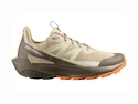 Dames outdoorschoenen Salomon  ELIXIR ACTIV W White Pepper/Falcon/Papaya