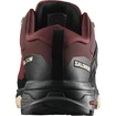 Dames outdoorschoenen Salomon X ULTRA 4 GTX W