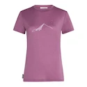 Dames T-shirt Icebreaker Merino 150 Tech Lite SS T South Const Deco L