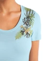 Dames T-shirt Icebreaker  Tech Lite II SS Scoop Tee Fabulous Fer Haze