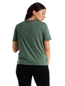 Dames T-shirt Icebreaker  W Central SS Tee SAGE