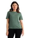 Dames T-shirt Icebreaker  W Central SS Tee SAGE