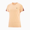 Dames T-shirt Salomon Cross Run SS Tee Apricot Ice