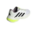 Dames tennisschoenen adidas Barricade 13 W FTWWHT/CBLACK/CRYJAD