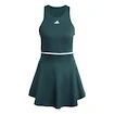 Damesjurk adidas  Tennis Climacool Y-Dress Aurora Ivy L