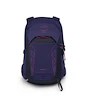 Damesrugzak OSPREY Tempest  22 deep fig/hotspot pink
