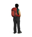 Damesrugzak OSPREY Tempest  22 deep fig/hotspot pink