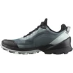 Damesschoenen Salomon Cross Over GTX W Stormy Weather