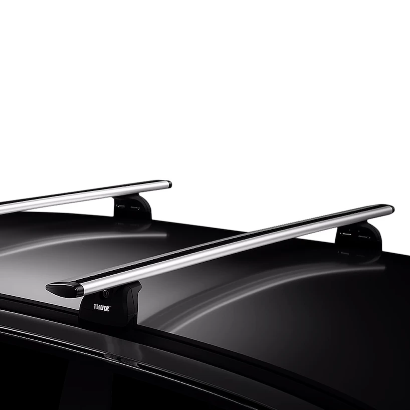 Draagvoeten Thule  753