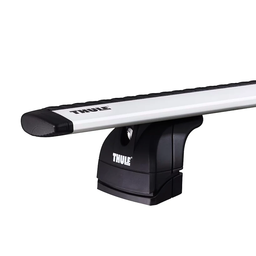 Draagvoeten Thule  753