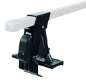 Draagvoeten Thule