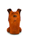 Fietsrugzak OSPREY Raptor 14 Orange sunset