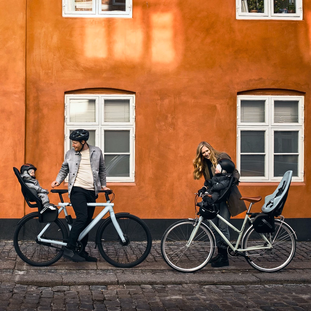 Fietsstoeltje Thule Yepp 2 Maxi - Rack Mount - Alaska