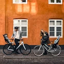 Fietsstoeltje Thule Yepp 2 Mini - Front Mount - Fennel Tan