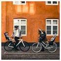 Fietsstoeltje Thule Yepp 2 Mini- Front Mount- Fennel Tan