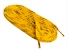 Geel