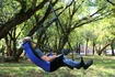 Hangmat Eno  Lounger Hanging Chair Purple/Teal