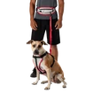 Hardloopriem Nathan K9 Series Runner's Waistpack With Leash