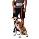 Hardloopriem Nathan  K9 Series Runner's Waistpack With Leash