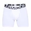 Heren boxershort Under Armour  Charged Cotton 6in 3 Pack-WHT