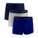 Heren boxershort Under Armour Perf Tech Solid 3in 3Pack Royal  3XL