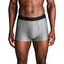 Heren boxershort Under Armour Perf Tech Solid 3in 3Pack Steel Heather